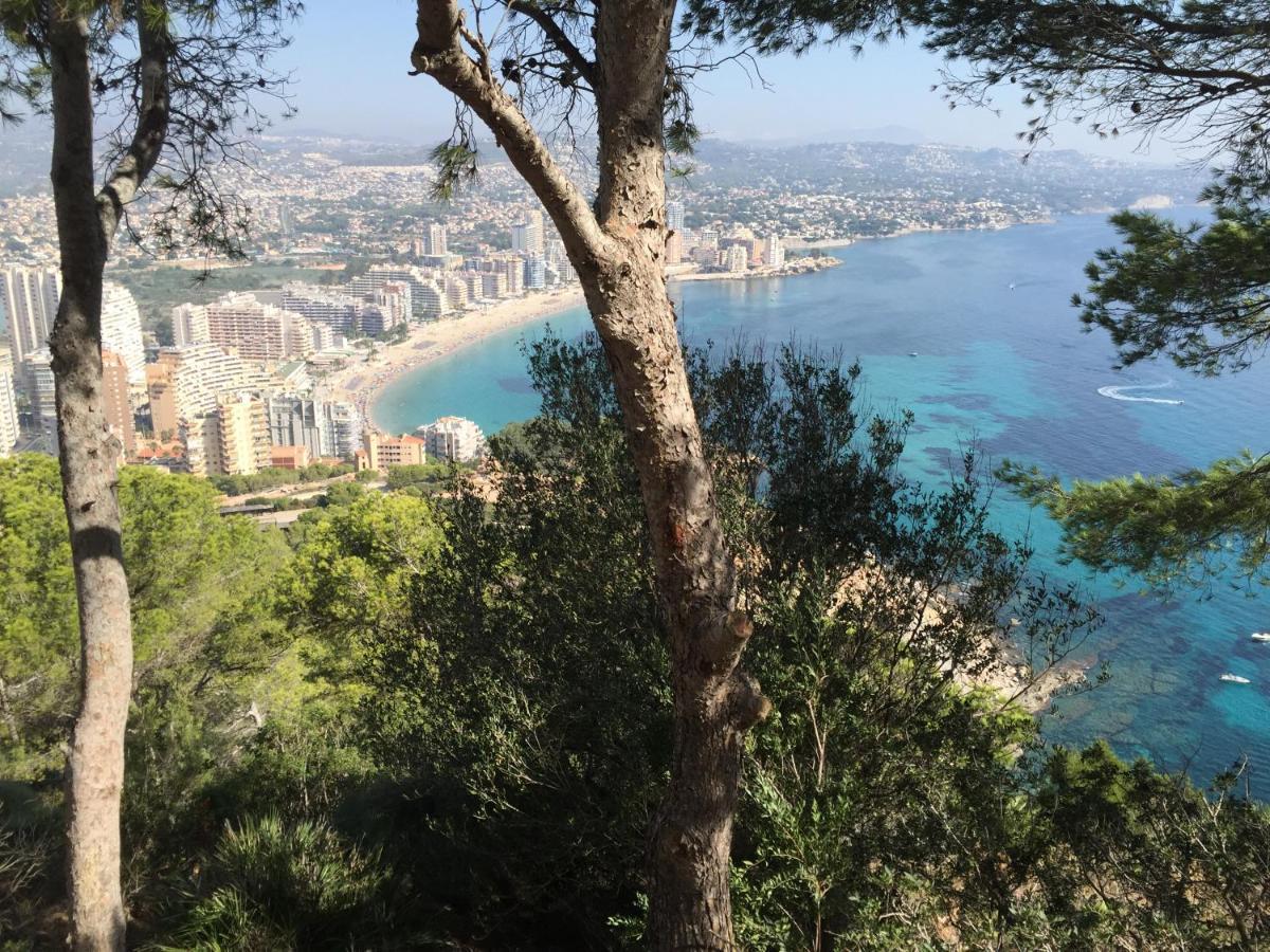 Apartamento Mesana 102 / Penthouse Calpe Exterior foto